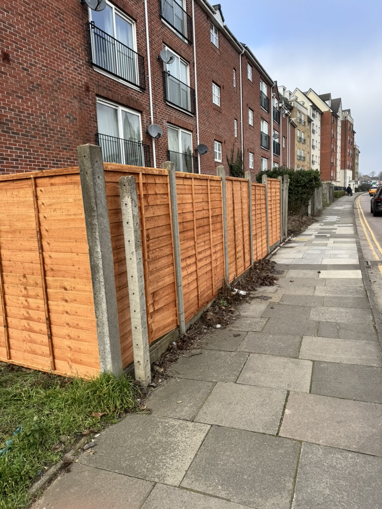 New timber boundary fencing